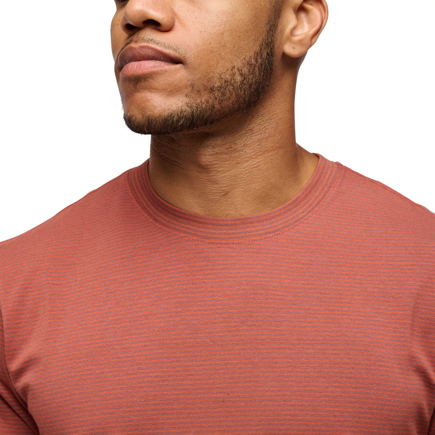 Black Diamond BD Stripe T-shirt homme coton bio stretch