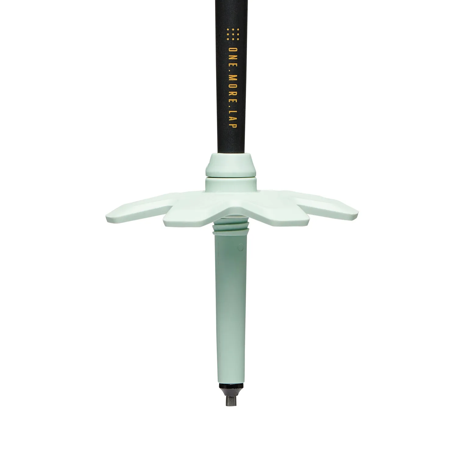 Black Diamond Traverse Pro Ski Poles bâtons de ski