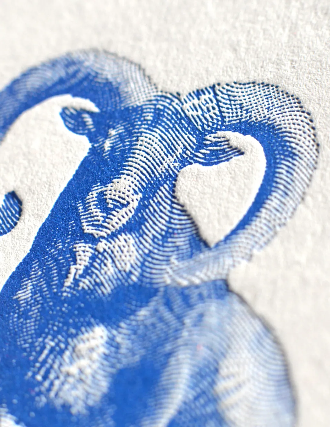 Ropeless Big Horn carte postale letterpress A6