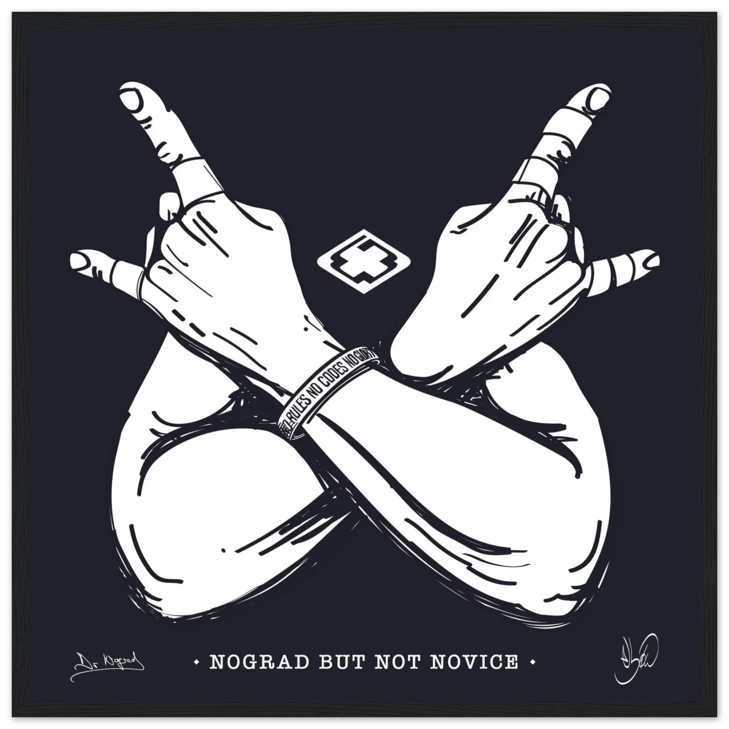 Nograd But Not Novice affiche encadrée