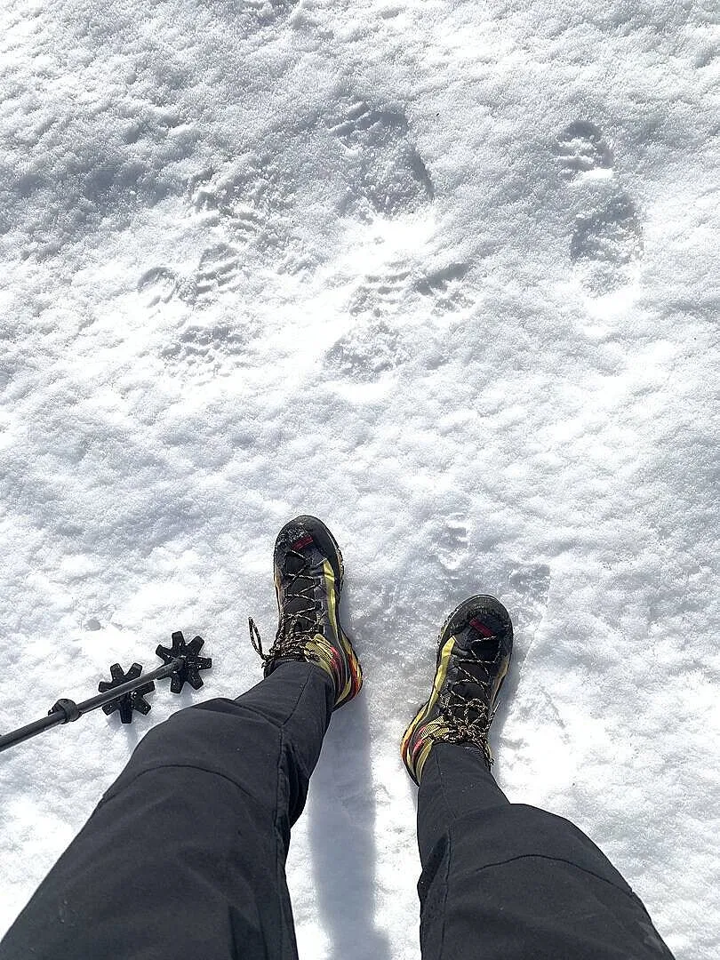 Black Diamond Powder Baskets rondelles poudre ski