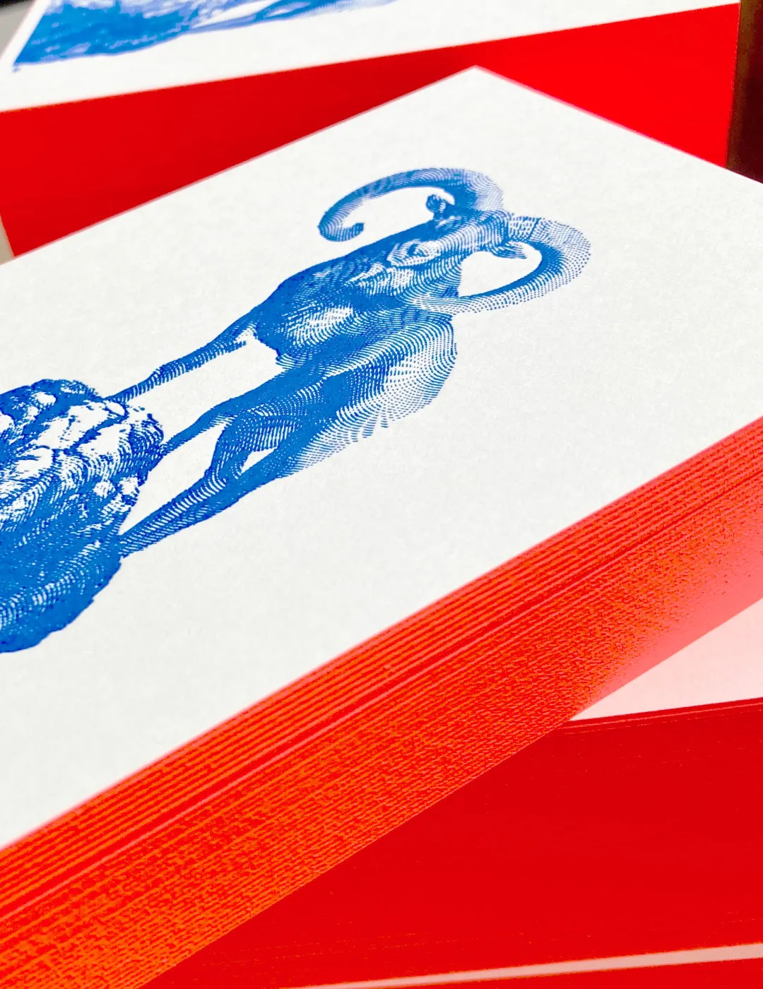 Ropeless Big Horn carte postale letterpress A6