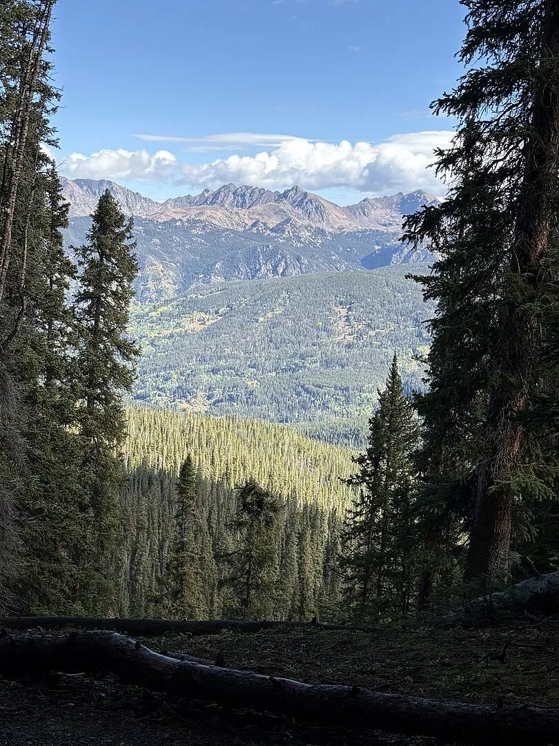 Black Diamond Trail Vista FLZ bâtons randonnée alu
