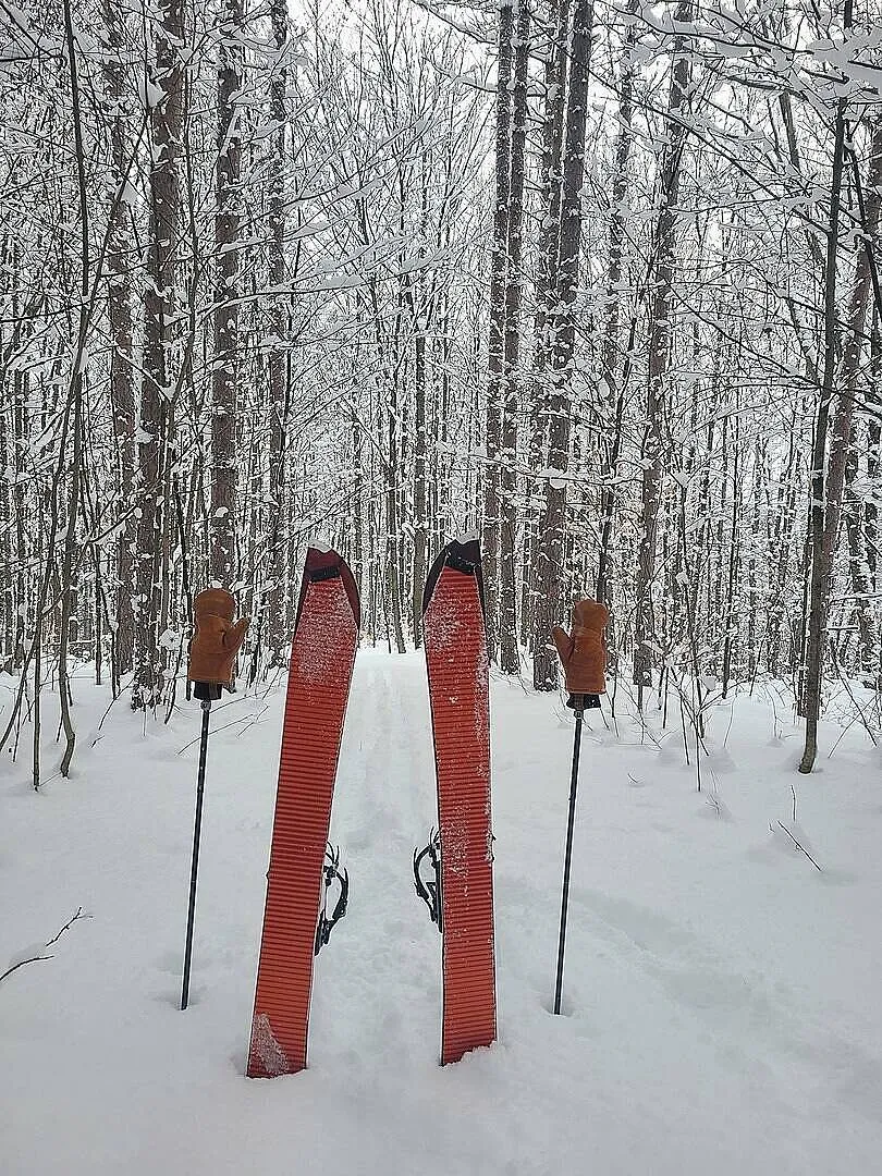 Black Diamond Ascension Splitboard peaux de splitboard nylon