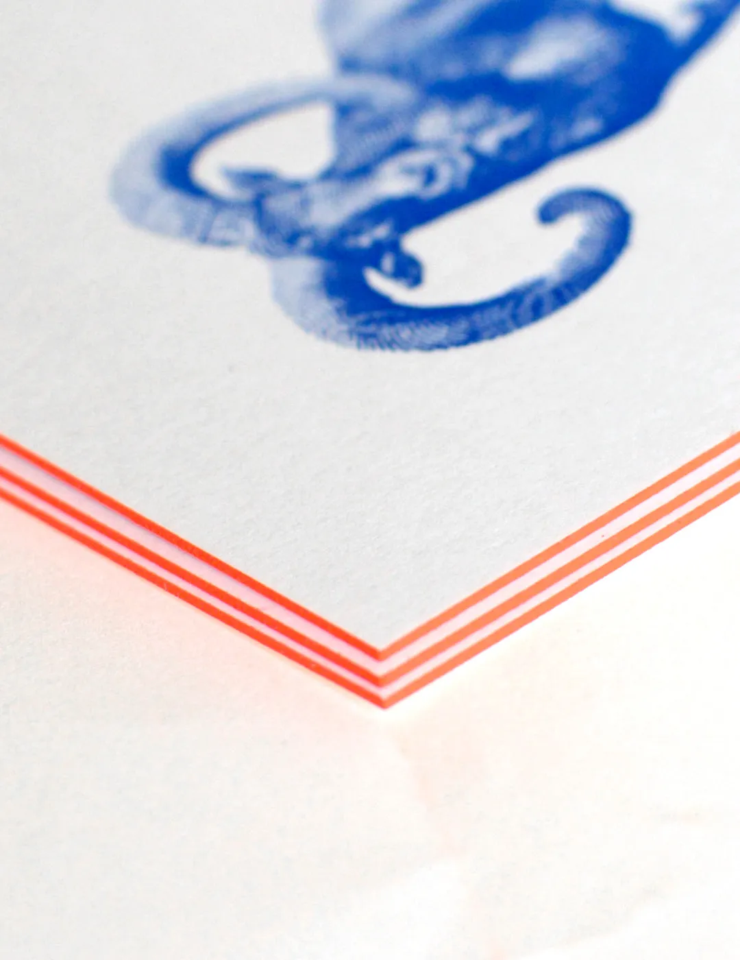 Ropeless Big Horn carte postale letterpress A6