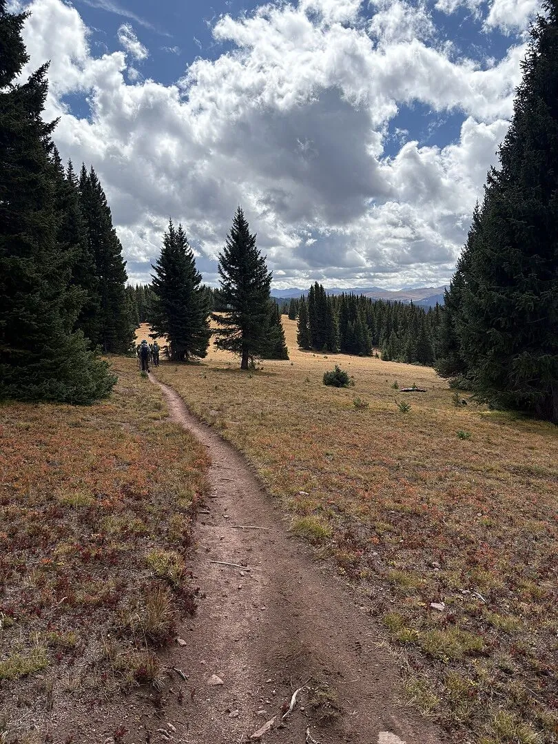 Black Diamond Trail Vista FLZ bâtons randonnée alu