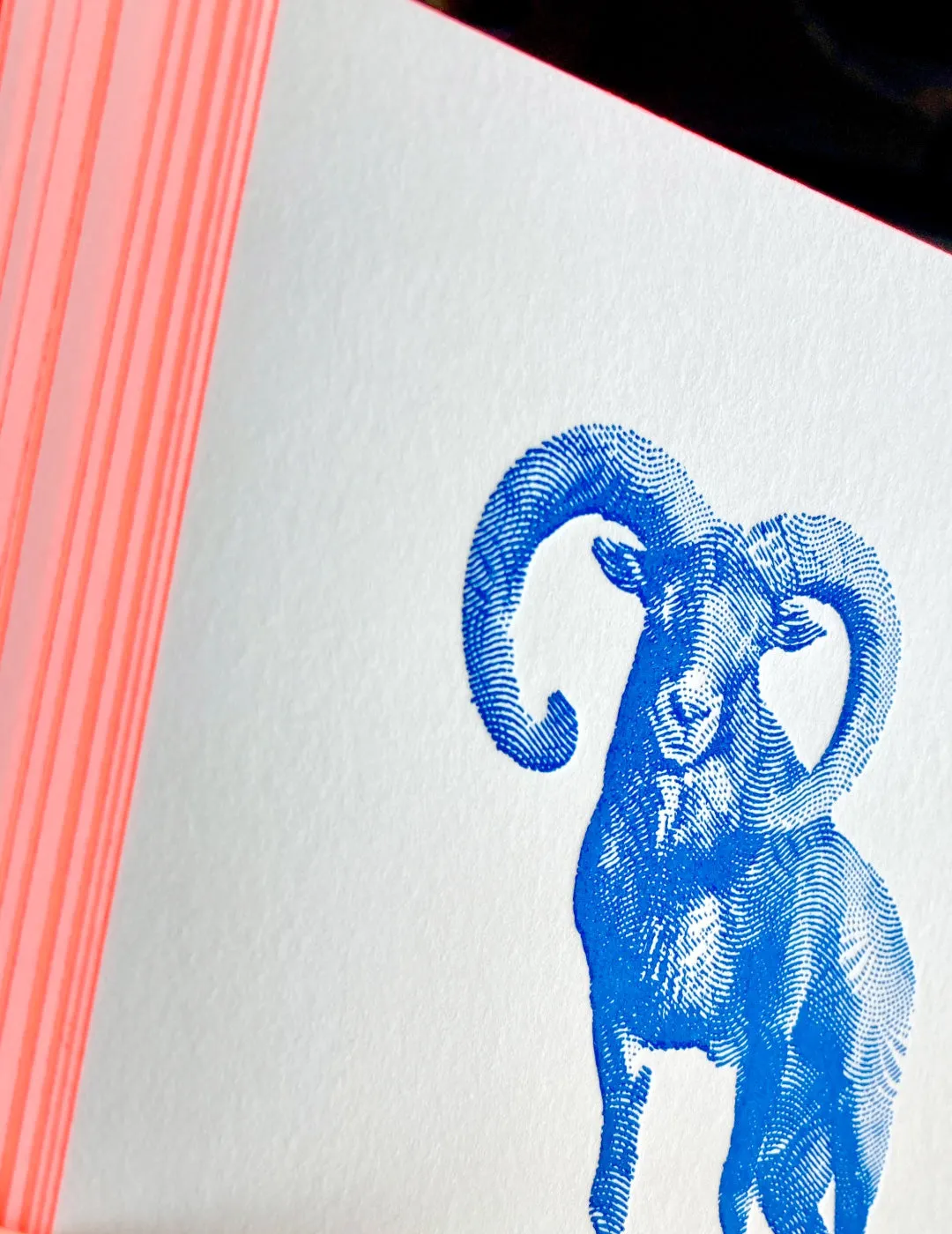 Ropeless Big Horn carte postale letterpress A6