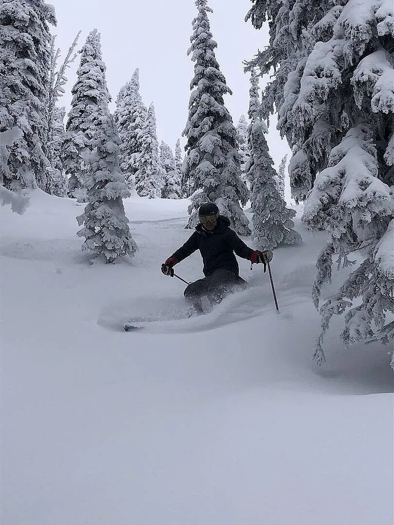 Black Diamond Recon Stretch pantalon ski homme imperméable