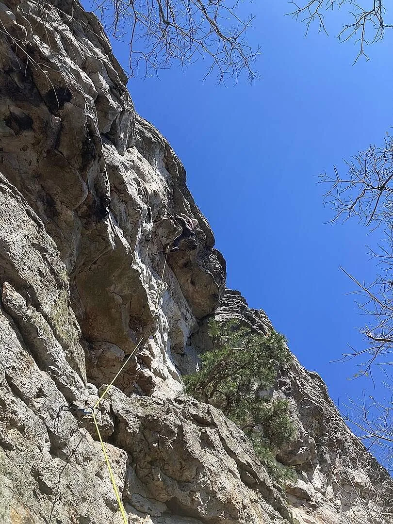 Black Diamond 9.4 corde d’escalade repère milieu