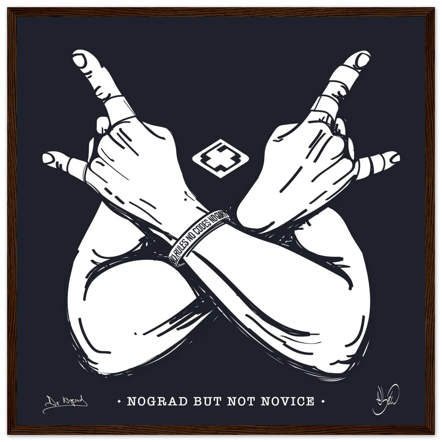 Nograd But Not Novice affiche encadrée
