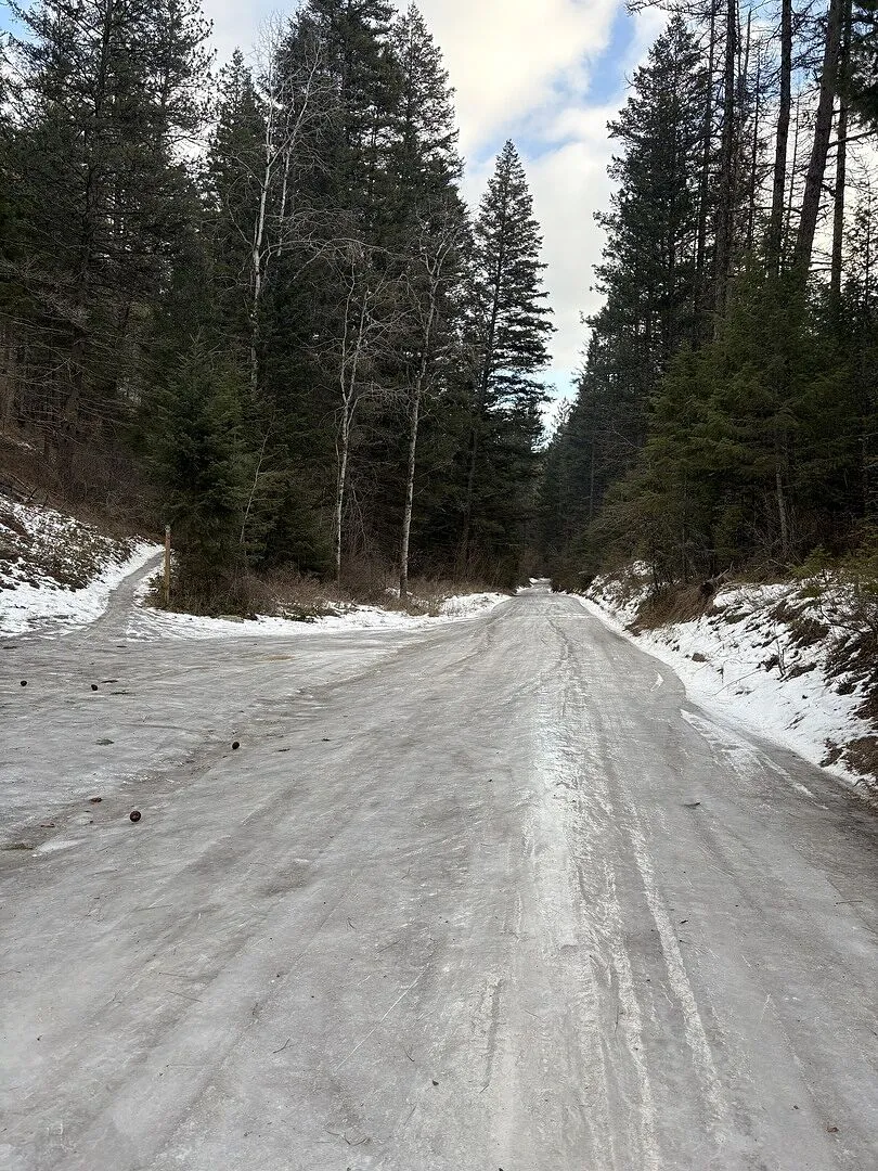 Black Diamond Distance Spike traction trail